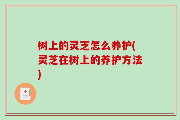 树上的灵芝怎么养护(灵芝在树上的养护方法)