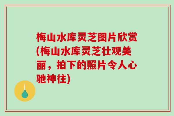 梅山水库灵芝图片欣赏(梅山水库灵芝壮观美丽,拍下的照片令人心驰神往) 梅山水库灵芝图片欣赏(梅山水库灵芝壮观美丽,拍下的照片令人心驰神往)
