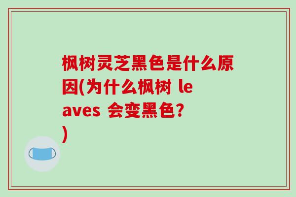 枫树灵芝黑色是什么原因(为什么枫树 leaves 会变黑色？)