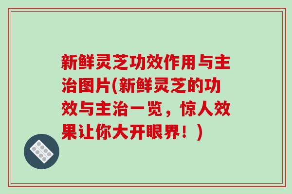 新鲜灵芝功效作用与主图片(新鲜灵芝的功效与主一览,惊人效果让你大开眼界!) 新鲜灵芝功效作用与主图片(新鲜灵芝的功效与主一览,惊人效果让你大开眼界!)