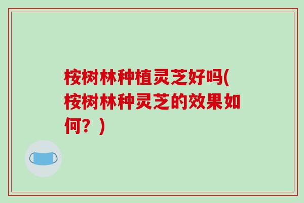 桉树林种植灵芝好吗(桉树林种灵芝的效果如何?) 桉树林种植灵芝好吗(桉树林种灵芝的效果如何?)