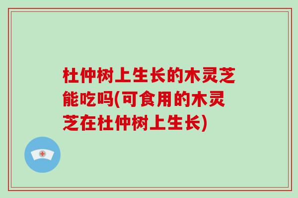 杜仲树上生长的木灵芝能吃吗(可食用的木灵芝在杜仲树上生长)