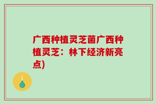 广西种植灵芝菌广西种植灵芝:林下经济新亮点) 广西种植灵芝菌广西种植灵芝:林下经济新亮点)