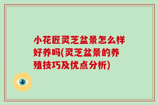 小花匠灵芝盆景怎么样好养吗(灵芝盆景的养殖技巧及优点分析)
