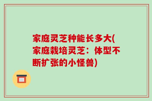 家庭灵芝种能长多大(家庭栽培灵芝：体型不断扩张的小怪兽)