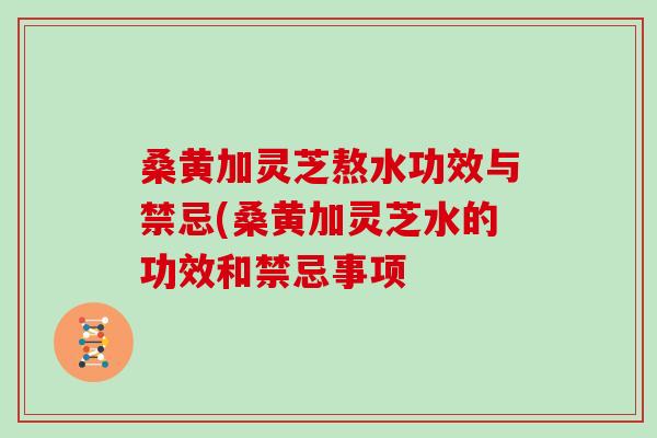桑黄加灵芝熬水功效与禁忌(桑黄加灵芝水的功效和禁忌事项