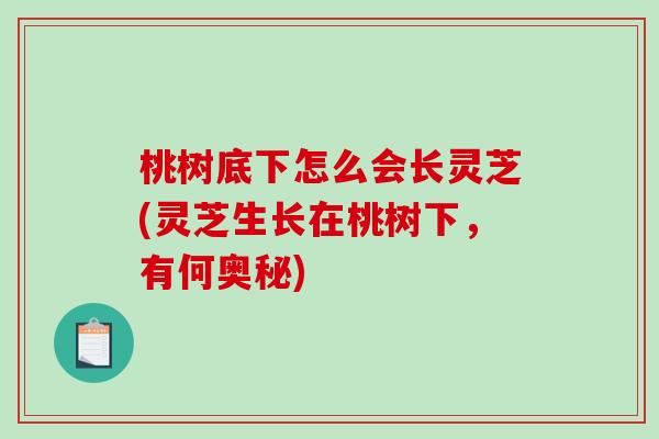 桃树底下怎么会长灵芝(灵芝生长在桃树下，有何奥秘)