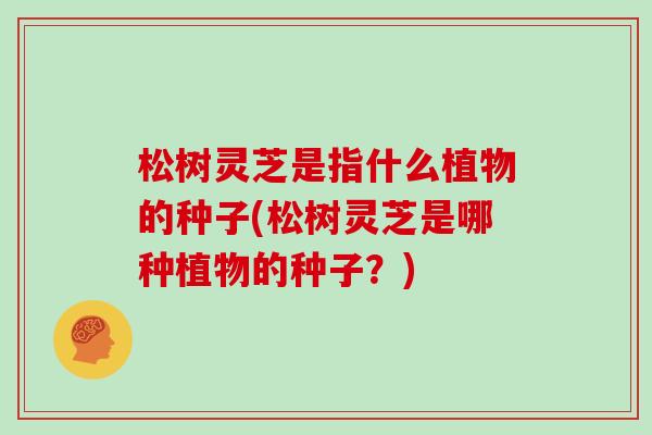 松树灵芝是指什么植物的种子(松树灵芝是哪种植物的种子？)