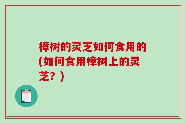 樟树的灵芝如何食用的(如何食用樟树上的灵芝?) 樟树的灵芝如何食用的(如何食用樟树上的灵芝?)