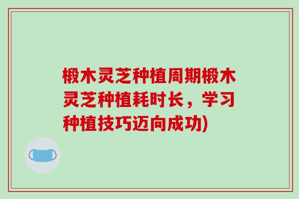椴木灵芝种植周期椴木灵芝种植耗时长，学习种植技巧迈向成功)