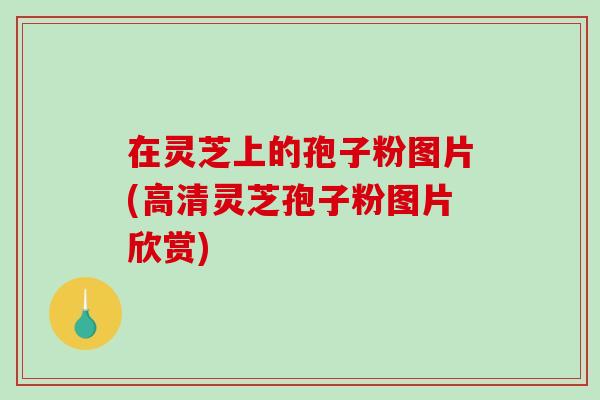 在灵芝上的孢子粉图片(高清灵芝孢子粉图片欣赏)