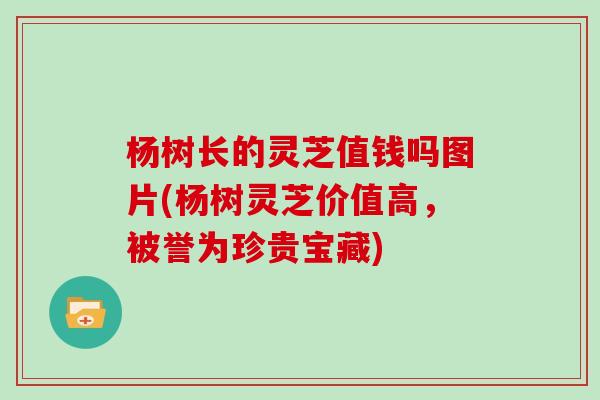 杨树长的灵芝值钱吗图片(杨树灵芝价值高，被誉为珍贵宝藏)