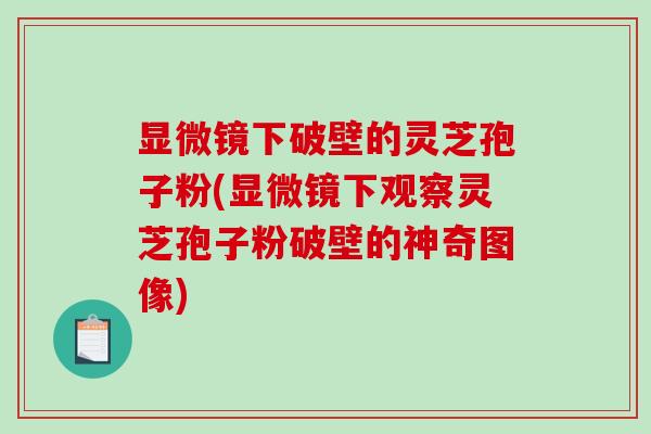 显微镜下破壁的灵芝孢子粉(显微镜下观察灵芝孢子粉破壁的神奇图像)