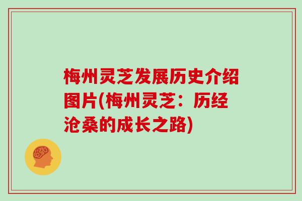 梅州灵芝发展历史介绍图片(梅州灵芝：历经沧桑的成长之路)