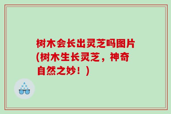 树木会长出灵芝吗图片(树木生长灵芝，神奇自然之妙！)