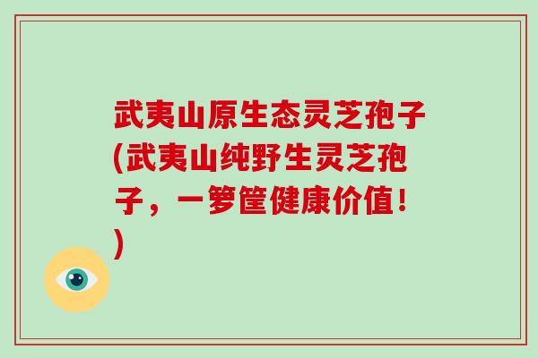武夷山原生态灵芝孢子(武夷山纯野生灵芝孢子，一箩筐健康价值！)