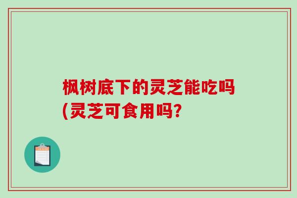 枫树底下的灵芝能吃吗(灵芝可食用吗？