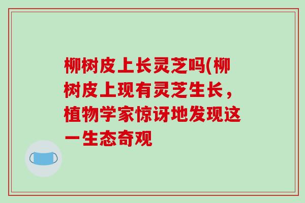 柳树皮上长灵芝吗(柳树皮上现有灵芝生长，植物学家惊讶地发现这一生态奇观