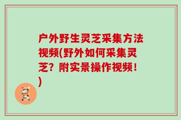 户外野生灵芝采集方法视频(野外如何采集灵芝？附实景操作视频！)