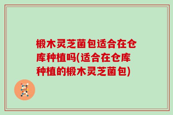 椴木灵芝菌包适合在仓库种植吗(适合在仓库种植的椴木灵芝菌包) 椴木灵芝菌包适合在仓库种植吗(适合在仓库种植的椴木灵芝菌包)