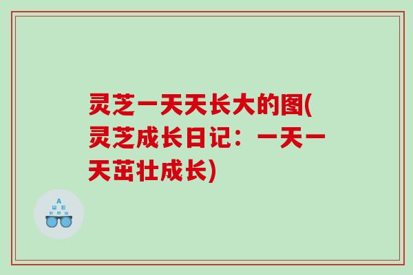 灵芝一天天长大的图(灵芝成长日记：一天一天茁壮成长)