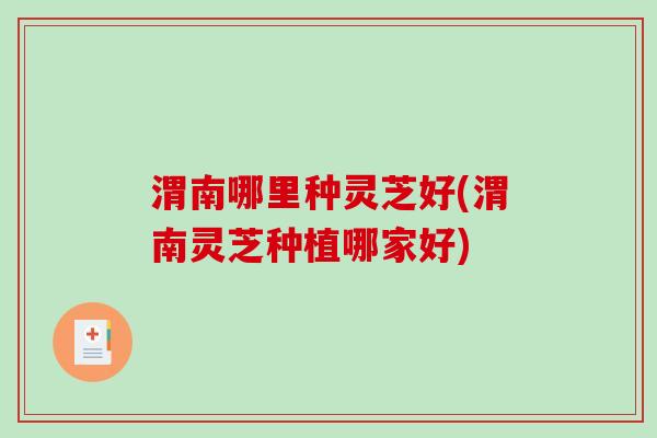 渭南哪里种灵芝好(渭南灵芝种植哪家好)