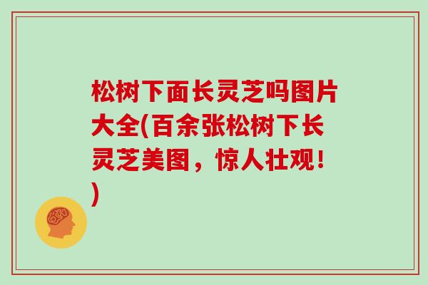 松树下面长灵芝吗图片大全(百余张松树下长灵芝美图，惊人壮观！)