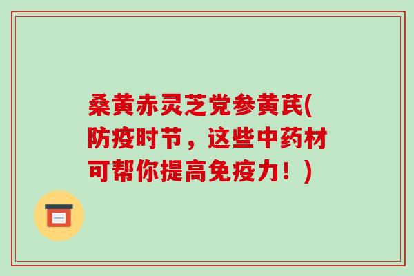 桑黄赤灵芝党参黄芪(防疫时节，这些材可帮你提高免疫力！)
