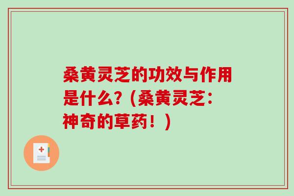 桑黄灵芝的功效与作用是什么？(桑黄灵芝：神奇的草药！)