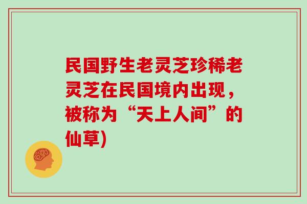 民国野生老灵芝珍稀老灵芝在民国境内出现，被称为“天上人间”的仙草)