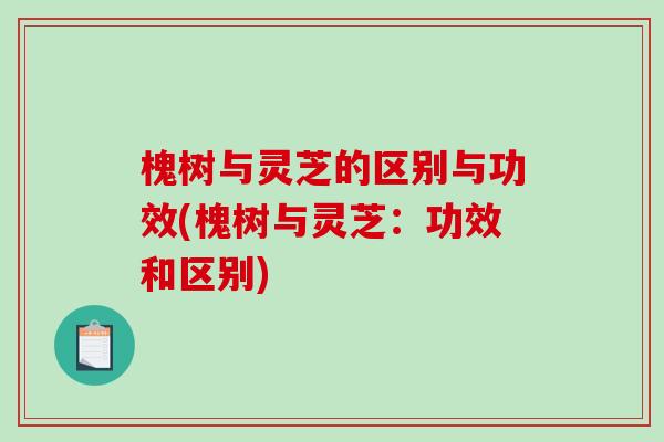 槐树与灵芝的区别与功效(槐树与灵芝：功效和区别)