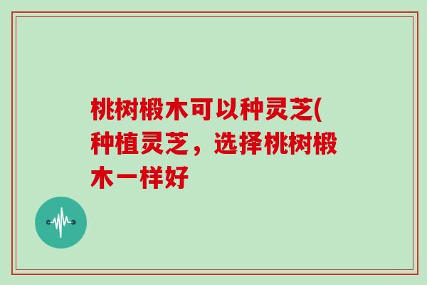 桃树椴木可以种灵芝(种植灵芝，选择桃树椴木一样好