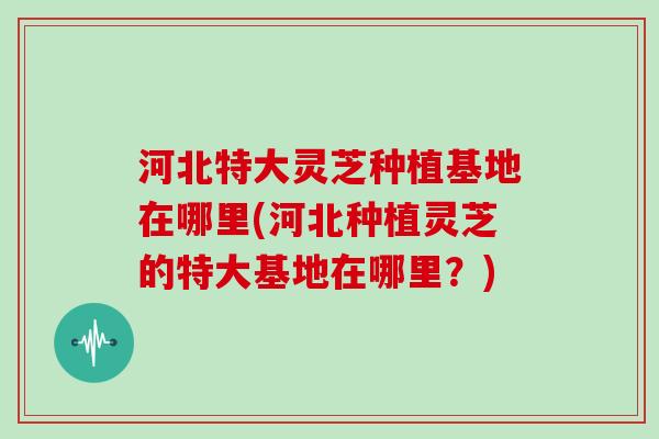 河北特大灵芝种植基地在哪里(河北种植灵芝的特大基地在哪里？)