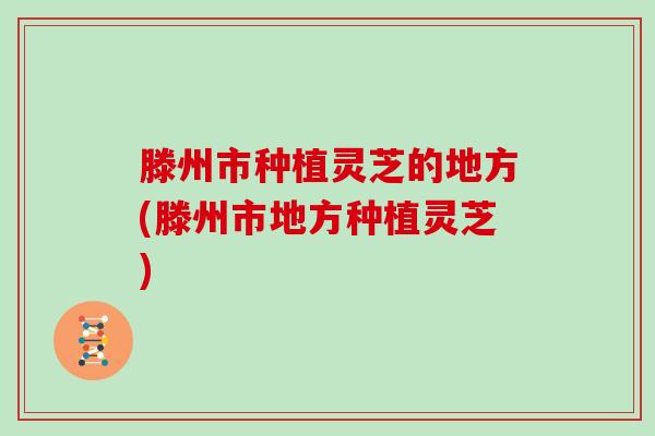 滕州市种植灵芝的地方(滕州市地方种植灵芝)