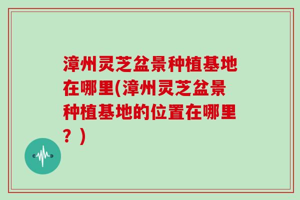 漳州灵芝盆景种植基地在哪里(漳州灵芝盆景种植基地的位置在哪里？)