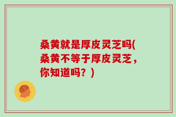 桑黄就是厚皮灵芝吗(桑黄不等于厚皮灵芝，你知道吗？)