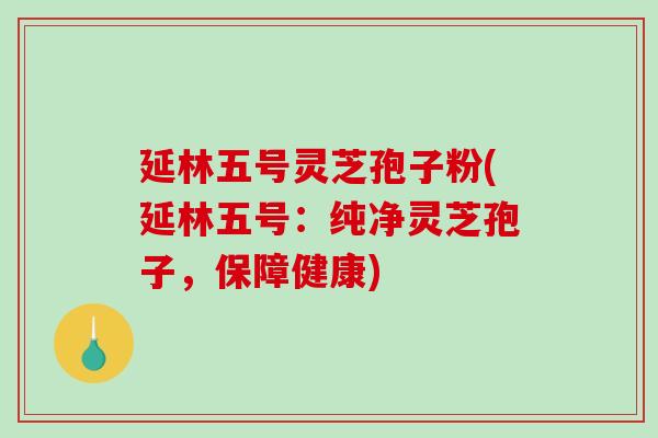 延林五号灵芝孢子粉(延林五号：纯净灵芝孢子，保障健康)
