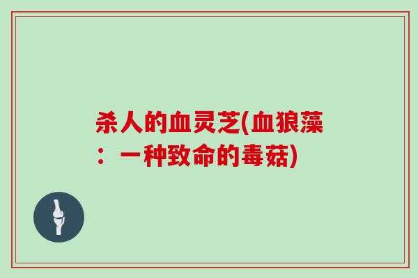 杀人的灵芝(狼藻：一种致命的毒菇)