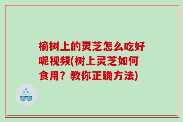 摘树上的灵芝怎么吃好呢视频(树上灵芝如何食用？教你正确方法)