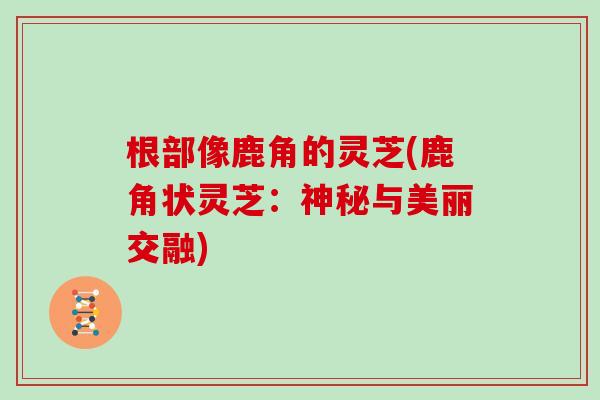 根部像鹿角的灵芝(鹿角状灵芝：神秘与美丽交融)