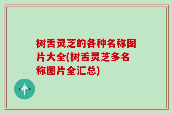 树舌灵芝的各种名称图片大全(树舌灵芝多名称图片全汇总)