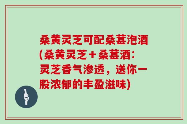 桑黄灵芝可配桑葚泡酒(桑黄灵芝＋桑葚酒：灵芝香气渗透，送你一股浓郁的丰盈滋味)
