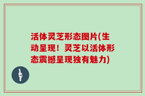 活体灵芝形态图片(生动呈现！灵芝以活体形态震撼呈现独有魅力)