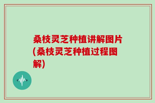 桑枝灵芝种植讲解图片(桑枝灵芝种植过程图解)