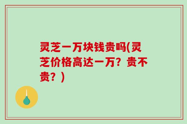 灵芝一万块钱贵吗(灵芝价格高达一万？贵不贵？)