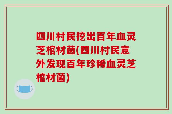 四川村民挖出百年灵芝棺材菌(四川村民意外发现百年珍稀灵芝棺材菌)