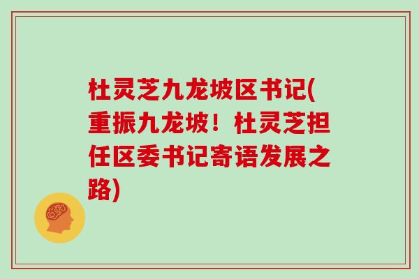杜灵芝九龙坡区书记(重振九龙坡！杜灵芝担任区委书记寄语发展之路)