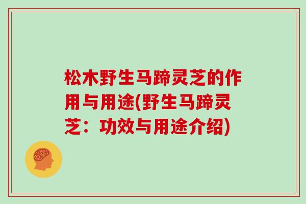 松木野生马蹄灵芝的作用与用途(野生马蹄灵芝：功效与用途介绍)