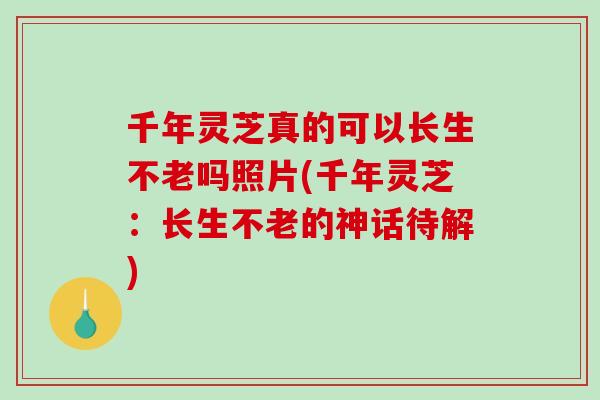 千年灵芝真的可以长生不老吗照片(千年灵芝：长生不老的神话待解)
