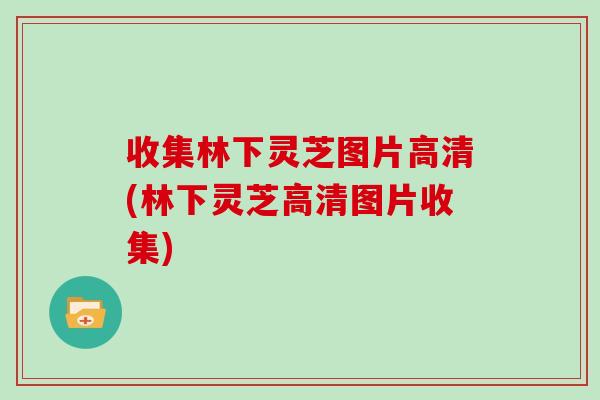 收集林下灵芝图片高清(林下灵芝高清图片收集)